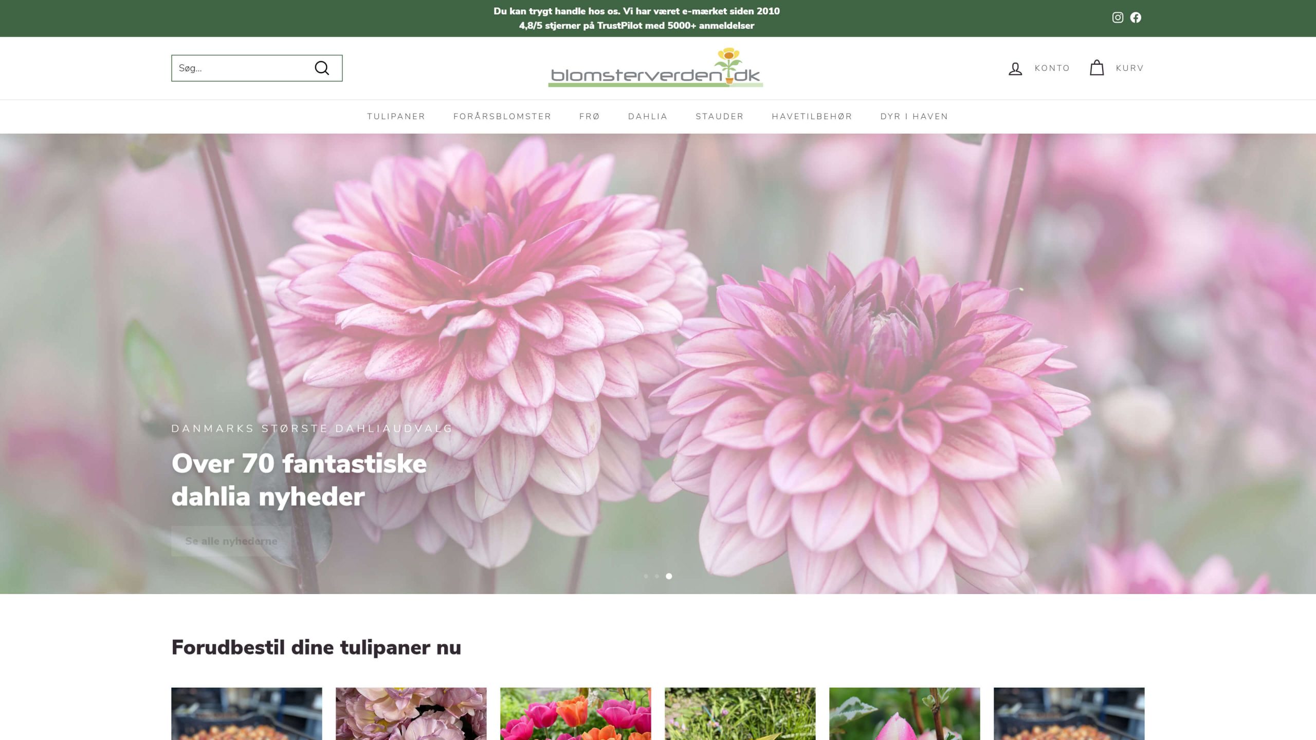 Enhancing UX and SEO for a Flower Bulbs and Seeds Shopify Store